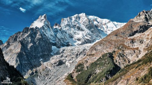 ALPI