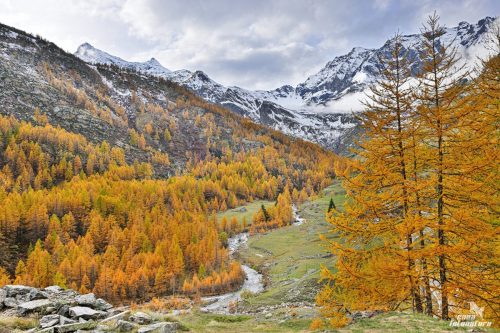 ALPI