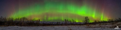 aurora-1L